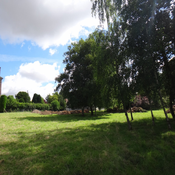 Offres de vente Terrain Auxi-le-Château 62390