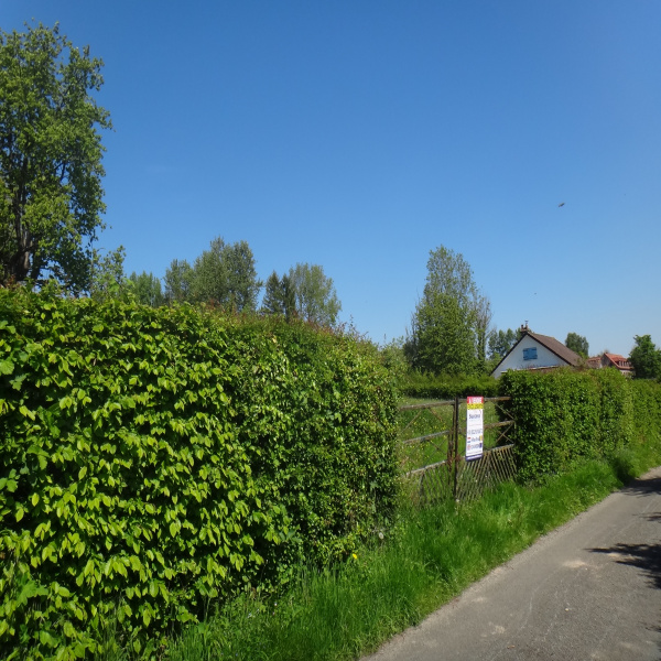 Offres de vente Terrain Fressin 62140