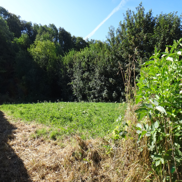 Offres de vente Terrain Saint-Denoeux 62990