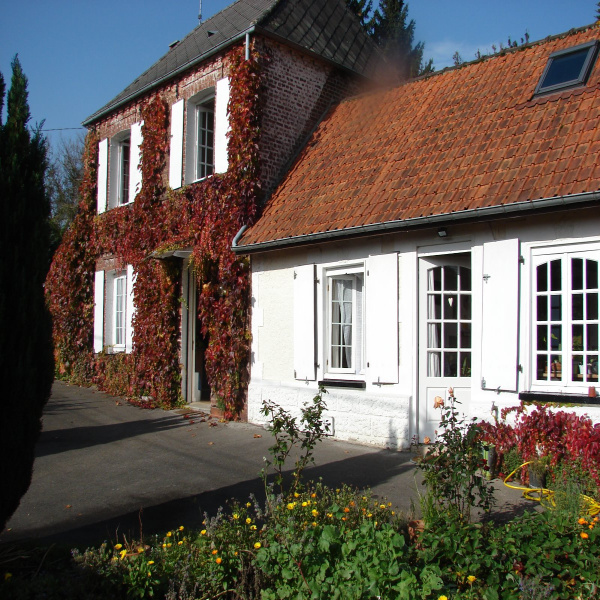 Offres de vente Maison Wicquinghem 62650
