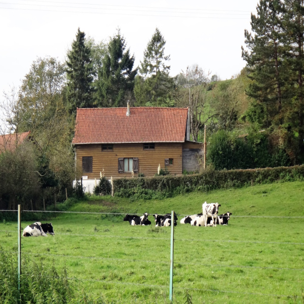 Offres de vente Maison Raye-sur-Authie 62140